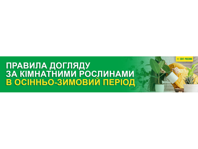 Правила догляду за кімнатними рослинами в осінньо-зимовий період