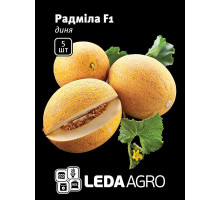 Насіння Диня Радміла F1 суперрання 5 шт LedaAgro