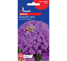 Насіння Цинія Вайолет Квін 0,5 г GL Seeds