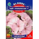 Пеларгония Эпплблоссом 10 шт
