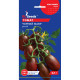 Семена Томат Черный мавр 0,1 г GL Seeds