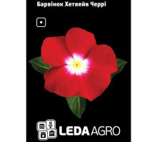 Барвінок Хетвейв Черрі червоний 10 шт Leda Agro