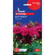 Насіння Монарда Бергамот GL Seeds 0,1 г