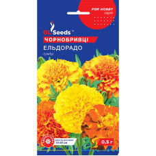 Насіння Чорнобривці Ельдорадо 0,5 г