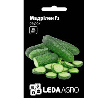 Насіння Огірок Мадрілен F1 10 насінин LedaAgro