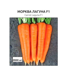 Насіння моркви Лагуна 25000 насіння