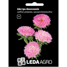Насіння Айстра Аполлонія срібно-рожева 0,2 гр LedaAgro