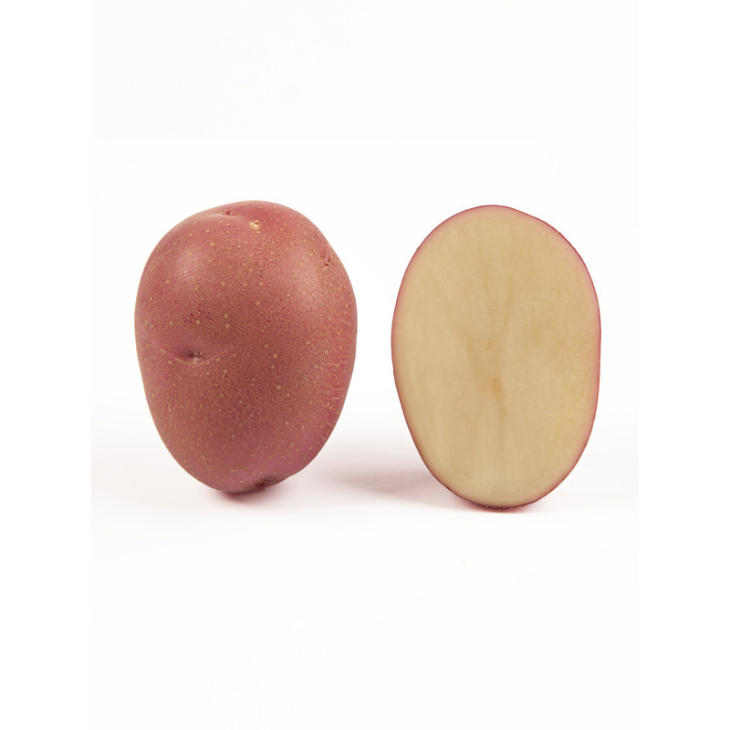 Картопля Христина 1 кг (1 репродукція), фракція 40-60