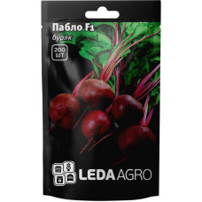 Насіння Буряк Пабло круглий F1 200 нас Leda Agro 