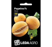 Насіння Диня Радміла F1 30 насінин LedaAgro