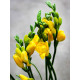 Фрезія Yellow повна 5+