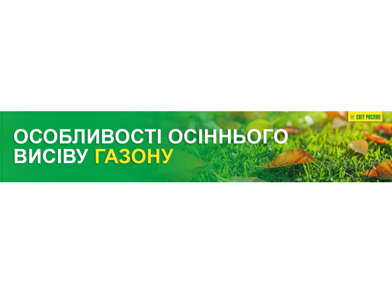 Особливості осіннього висіву газону