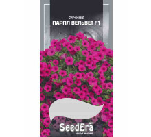 Насіння Сурфінії Парпл Вельвет 10 шт F1 Seedera