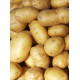 Картопля Бернадетт 1 кг (1 репродукція), фракція 40-60