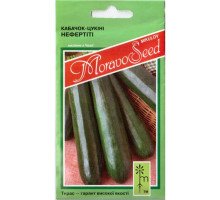 Насіння Кабачок Нефертіті 2,5 г MoravoSeed