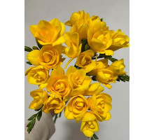 Фрезія Yellow повна 5+