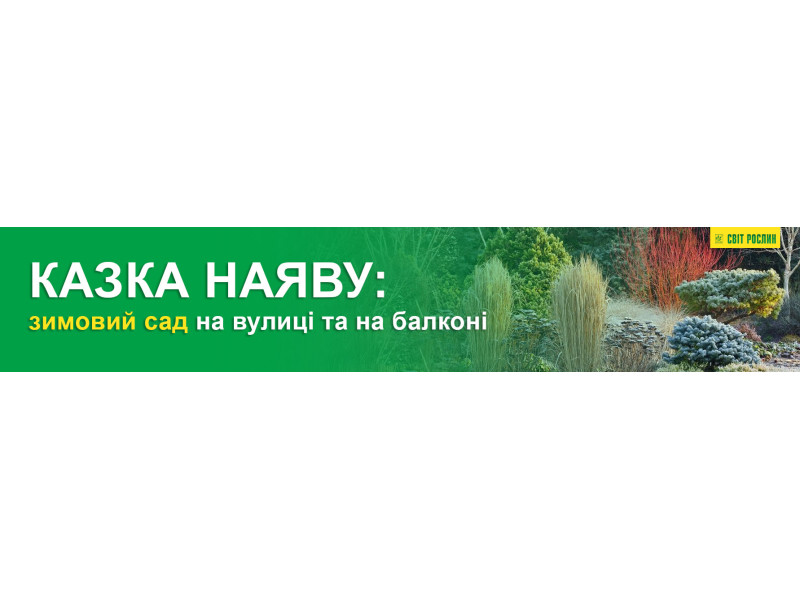 Казка наяву: зимовий сад на вулиці та на балконі