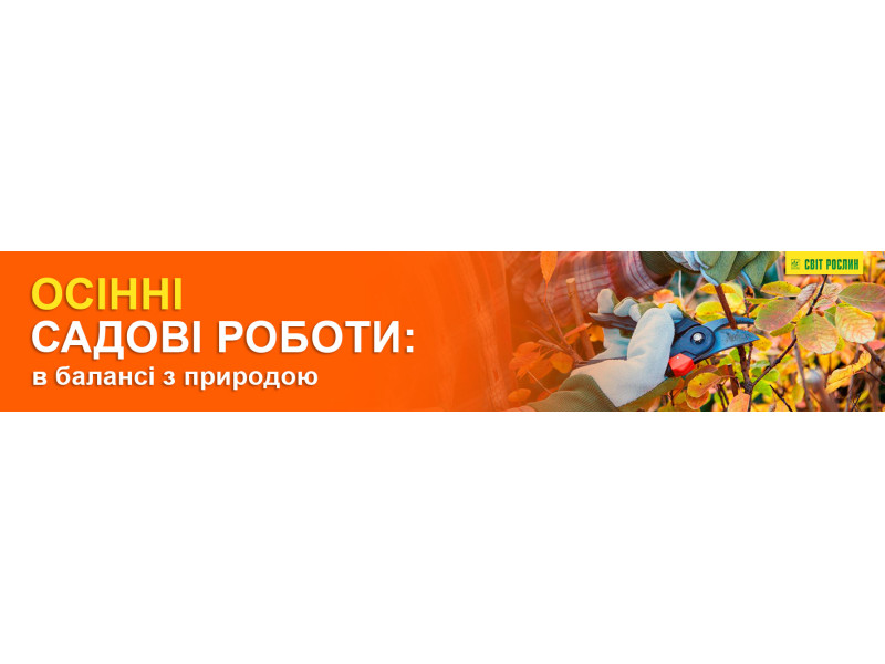 Осінні садові роботи: в балансі з природою