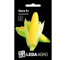 Насіння Кукуруза Лате F1 20 нас LedaAgro