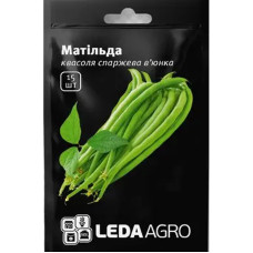 Насіння Квасоля спаржева Матильда 15 нас LedaAgro