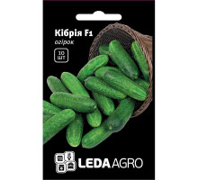 Насіння Огірок Кібрія F1 10 нас Leda Agro
