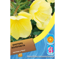 Енотера золотиста багаторічна 0,2 г