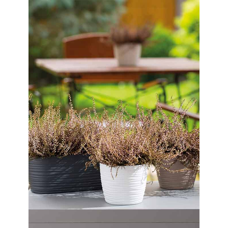 Вазон Сахара Петит 13 см 1 л Сіро-Бежевий Круглий