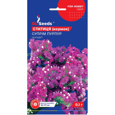 Насіння Статиця Суприм Пурпур GL Seeds 0,1 г