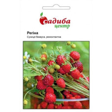 Насіння Суниця Регіна СЦ 0,2 г