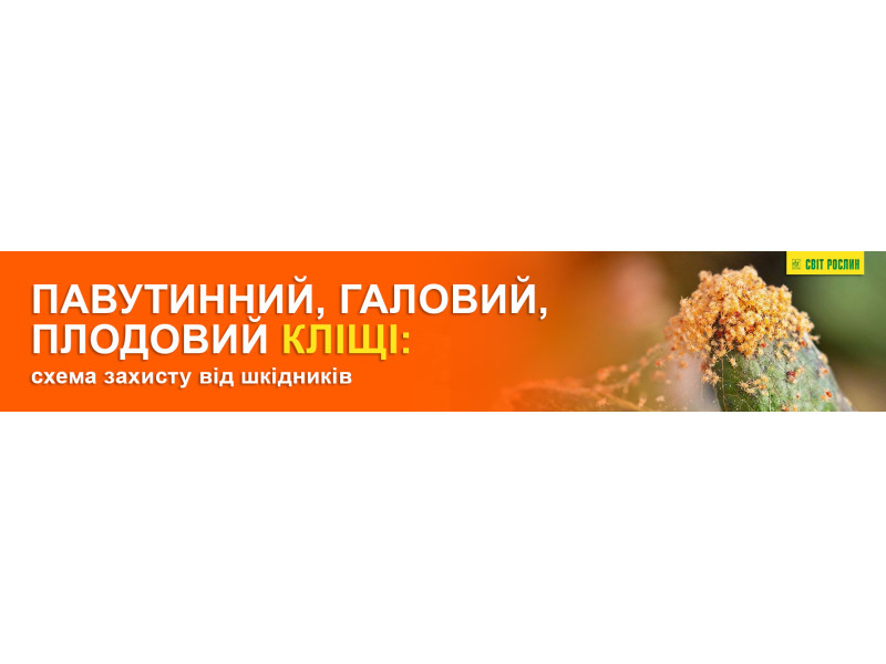 Павутинний, галовий, плодовий кліщі: схема захисту від шкідників
