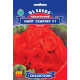Семена Пеларгония Найт Скарлет F1 5 семян GL Seeds