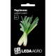 Семена Лук порей Порилюкс 0,5 г LedaAgro