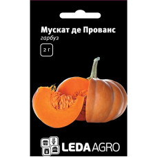 Насіння Гарбуз Мускат де Прованс 2 г LedaAgro