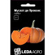 Насіння Гарбуз Мускат де Прованс 2 г LedaAgro