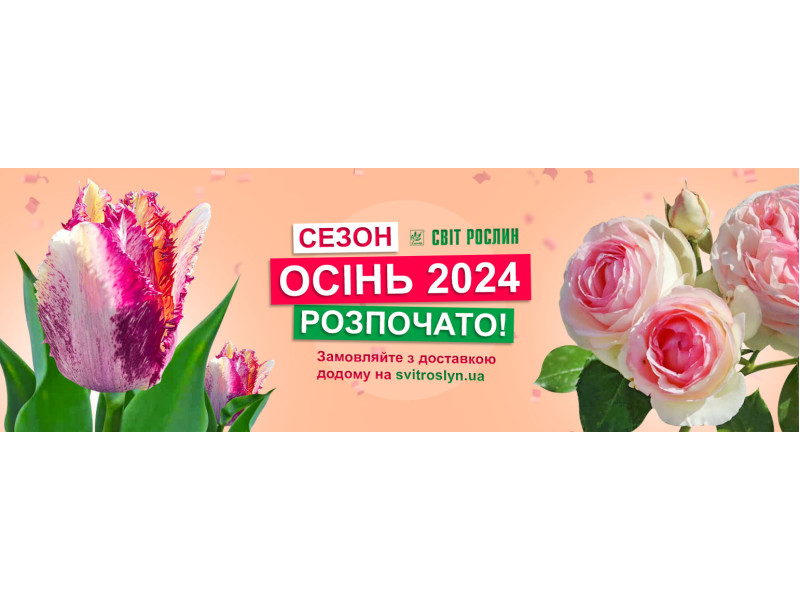 Осінь 2024 — сезон розпочато!