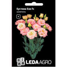 Насіння Еустома Ехо F1 шампань 5 шт Leda Agro