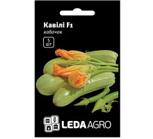 Насіння Кабачок Кавілі F1 5 насінин LedaAgro