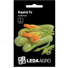 Насіння Кабачок Кавілі F1 5 насінин LedaAgro