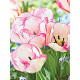 Тюльпан Rosy Bouquet мультифлора