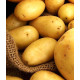 Картопля Бюррен 1 кг (1 репродукція), фракція 40-60