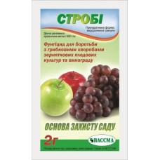 Строби 2 г