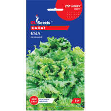 Насіння Салат Ева GL Seeds 1 г
