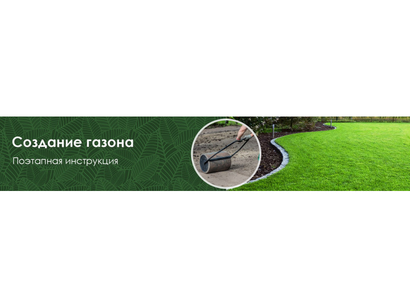 Створення газону