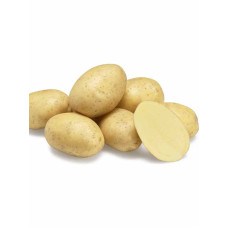 Семенной картофель Констанс 1 репродукция фракция 35-55 1 кг