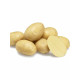 Семенной картофель Констанс 1 репродукция фракция 35-55 1 кг