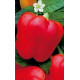 Перець Шорокшари 0,3 г