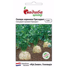 Насіння Селера коренева Президент СЦ 0,03 г