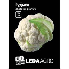 Насіння Капуста Гудмен цвітна 10 шт LedaAgro