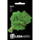 Насіння Кріп Дукат 1 г Leda Agro 