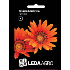 Насіння Газанія блискуча Промеза 5 шт LedaAgro